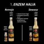 1. Ginger Honey | Jahe | Halia  - Mr Bentong - Image 4