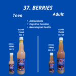 37. Berries Juice | Jus Beri - Mr Bentong  - Image 4