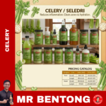 80. Pure Celery / Saderi / Seledri Series - Mr Bentong