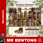 96. Pure Macadamia / Makadamia Series - Mr Bentong