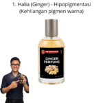 501. Perfume Halia Mr Bentong