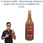 10. Jus Bunga Cengkih Halia Mr Bentong