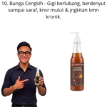 610. Hair Shampo Bunga Cengkih Mr Bentong