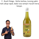 11. Jus Buah Pelaga Halia Mr Bentong