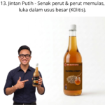 1013. Honey Jintan Putih Mr Bentong
