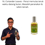 916. Therapy Oil Daun Ketumbar Mr Bentong