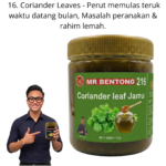 216. Jamu Daun Ketumbar Mr Bentong
