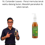 616. Hair Shampo Daun Ketumbar Mr Bentong