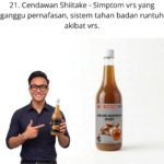 1021. Honey Cendawan Shiitake Mr Bentong