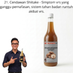 1121. Extract Cendawan Shiitake Mr Bentong