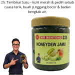 225. Jamu Tembikai Susu Mr Bentong
