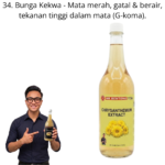 1134. Extract Bunga Kekwa Mr Bentong