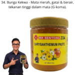 334. Pes Bunga Kekwa Mr Bentong