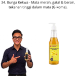 634. Hair Shampo Bunga Kekwa Mr Bentong