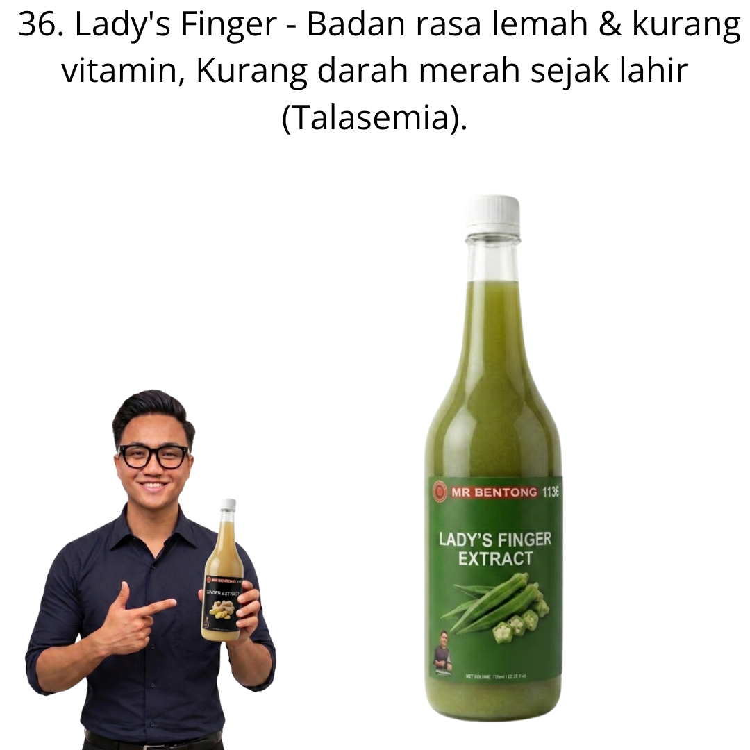 36 1136. Extract Bendi Mr Bentong - Image 1