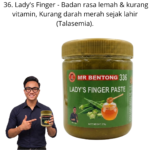 336. Pes Bendi Mr Bentong