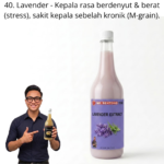 1140. Extract Lavender Mr Bentong