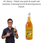 1043. Honey Nanas Mr Bentong