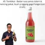 1145. Extract Tembikai Mr Bentong