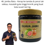 246. Jamu Jambu Batu Mr Bentong