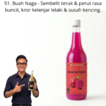 1151. Extract Buah Naga Mr Bentong