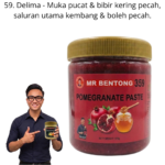 359. Pes Delima Mr Bentong