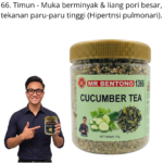 1366. Tea Timun Mr Bentong