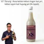 1167. Extract Terung Mr Bentong