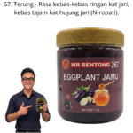 267. Jamu Terung Mr Bentong