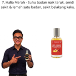 907. Therapy Oil Halia Bara Mr Bentong