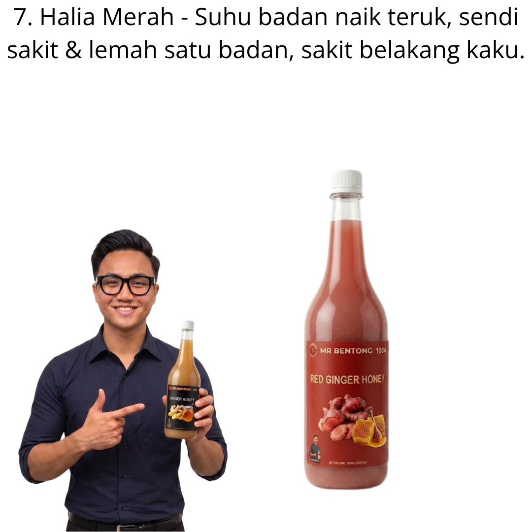 7 1007. Honey Halia Bara Mr Bentong - Image 1