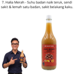 7. Red Ginger / Bara Halia Series - Mr Bentong