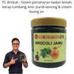 270. Jamu Brokoli Mr Bentong
