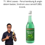 1171. Extract Daun Pudina Mr Bentong