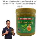 271. Jamu Daun Pudina Mr Bentong