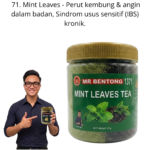 1371. Tea Daun Pudina Mr Bentong