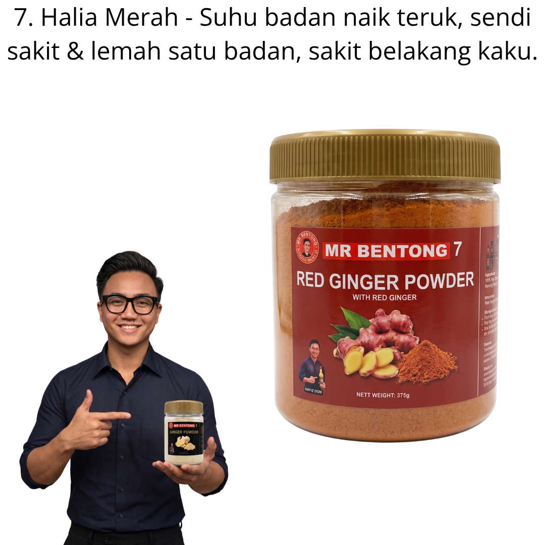 8 107. Serbuk Halia Bara Mr Bentong - Image 1