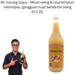1185. Extract Kacang Gajus Mr Bentong