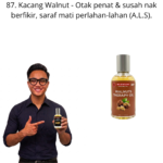 987. Therapy Oil Kacang Walnut Mr Bentong