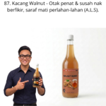 1087. Honey Kacang Walnut Mr Bentong
