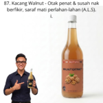 1187. Extract Kacang Walnut Mr Bentong