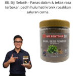 188. Serbuk Biji Selasih Mr Bentong